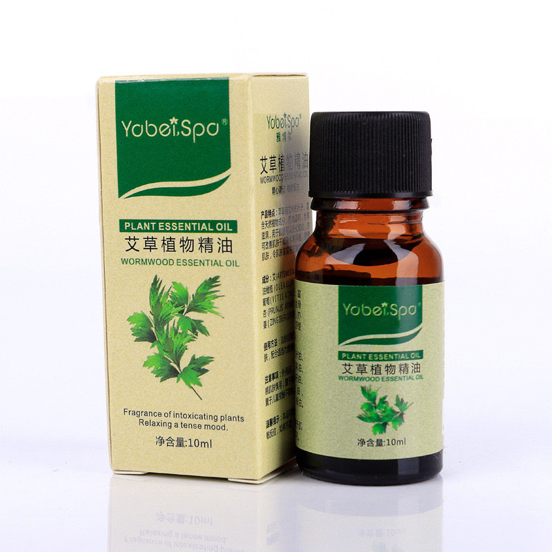 艾草精油：传承千年的芬芳